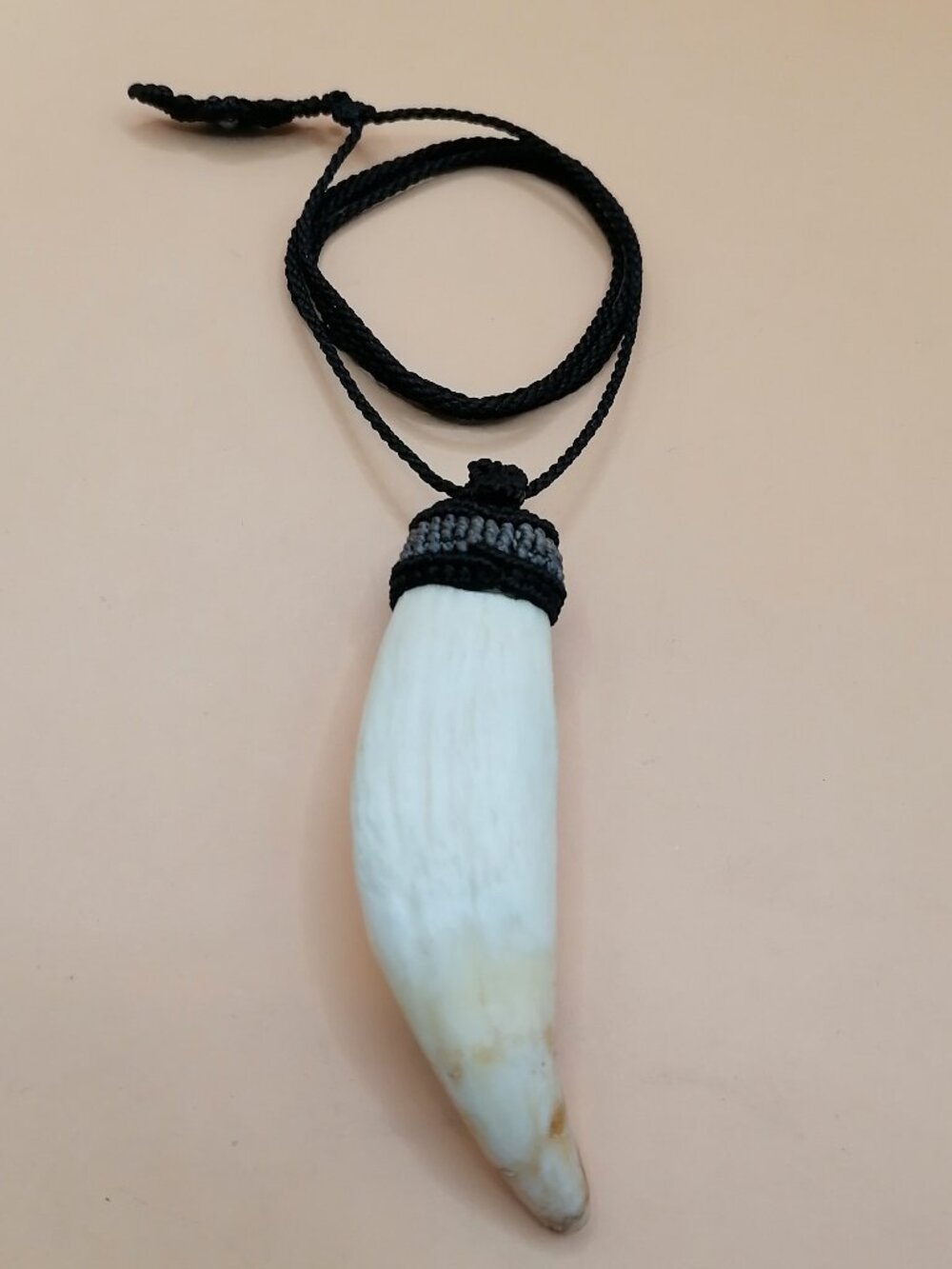 Shamanic Sea Lion Tooth Necklace Protection Amulet